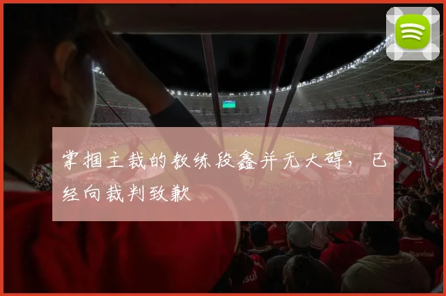 掌掴主裁的教练段鑫并无大碍，已经向裁判致歉