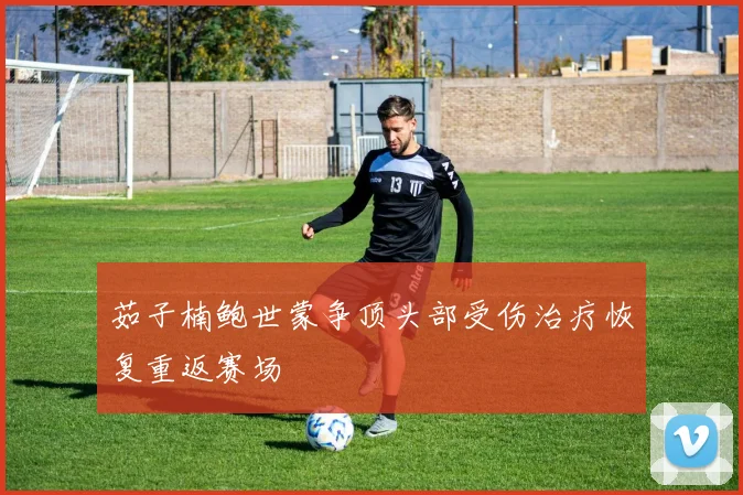 茹子楠鲍世蒙争顶头部受伤治疗恢复重返赛场